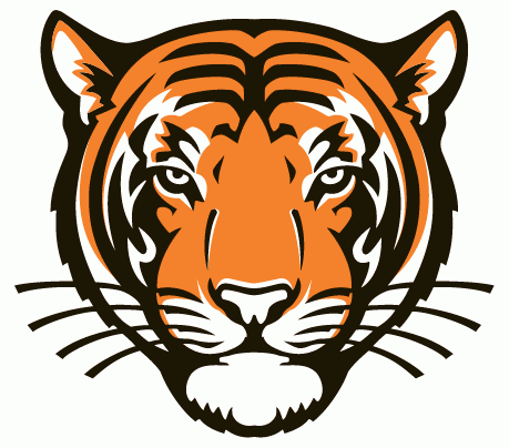Princeton Tigers 2003-Pres Alternate Logo t shirts DIY iron ons